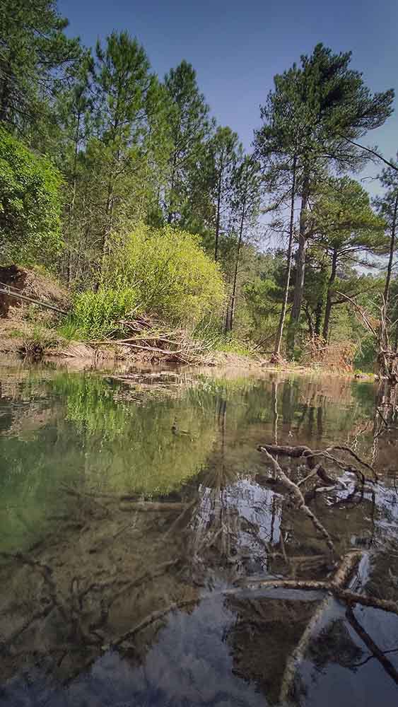 Las fuentes de Manzanera