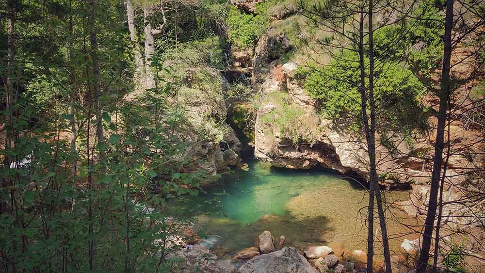 Las fuentes de Manzanera
