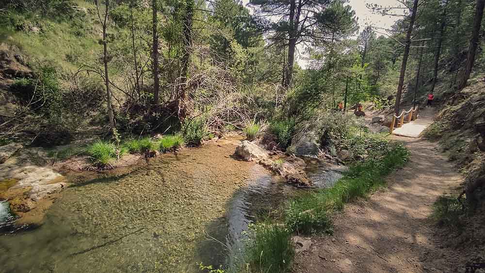 Las fuentes de Manzanera