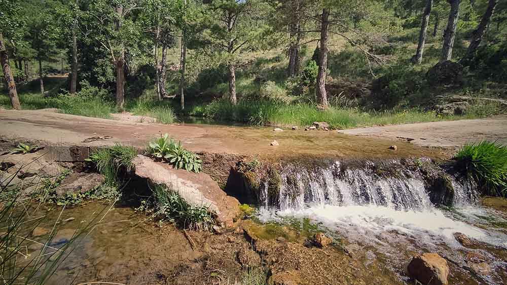 Las fuentes de Manzanera
