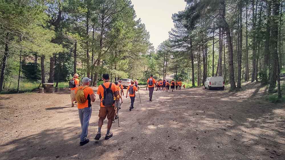 Las fuentes de Manzanera