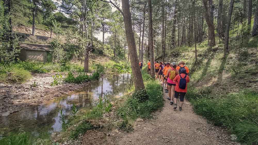 Las fuentes de Manzanera