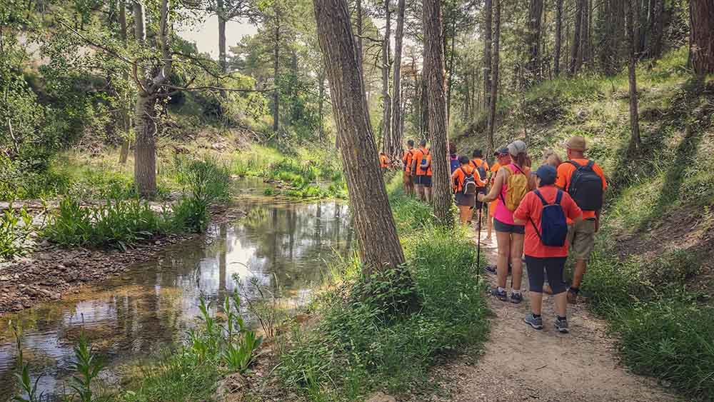 Las fuentes de Manzanera