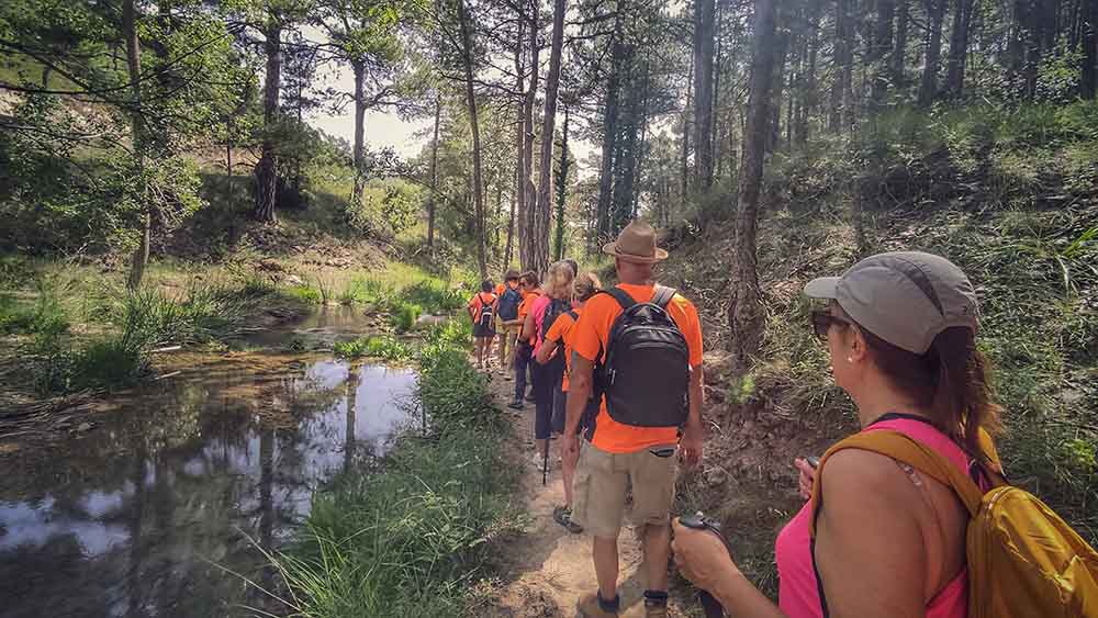 Las fuentes de Manzanera