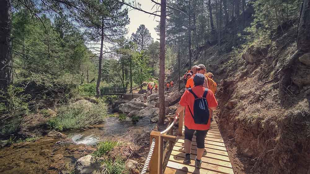 Las fuentes de Manzanera