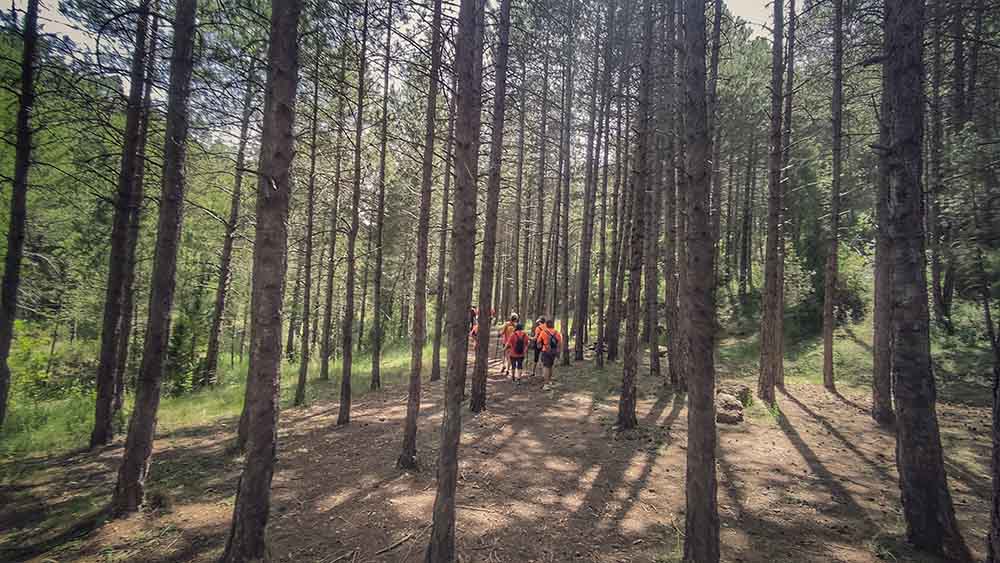 Las fuentes de Manzanera