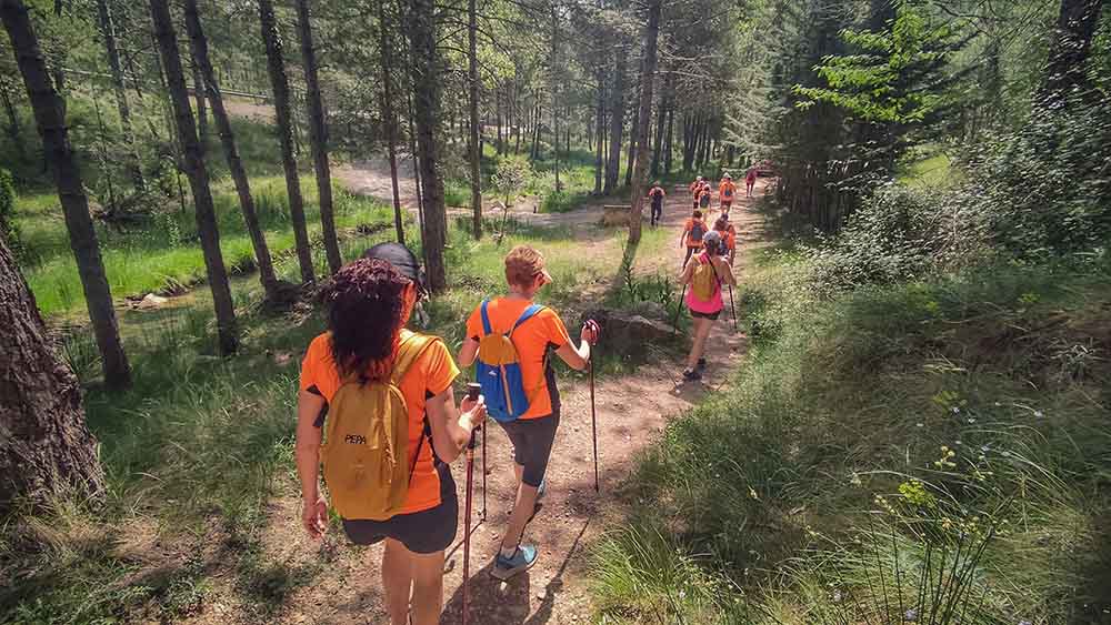 Las fuentes de Manzanera