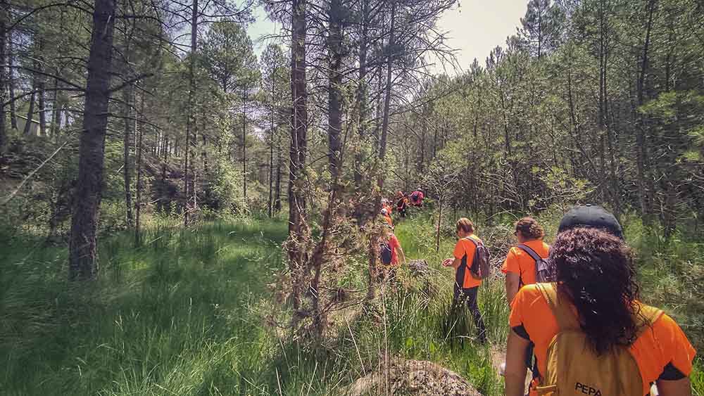 Las fuentes de Manzanera