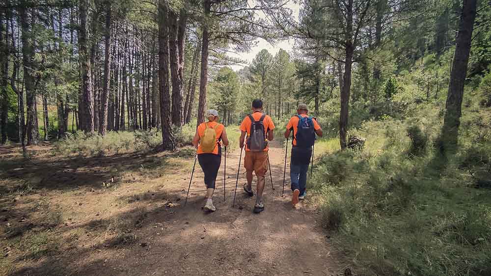 Las fuentes de Manzanera