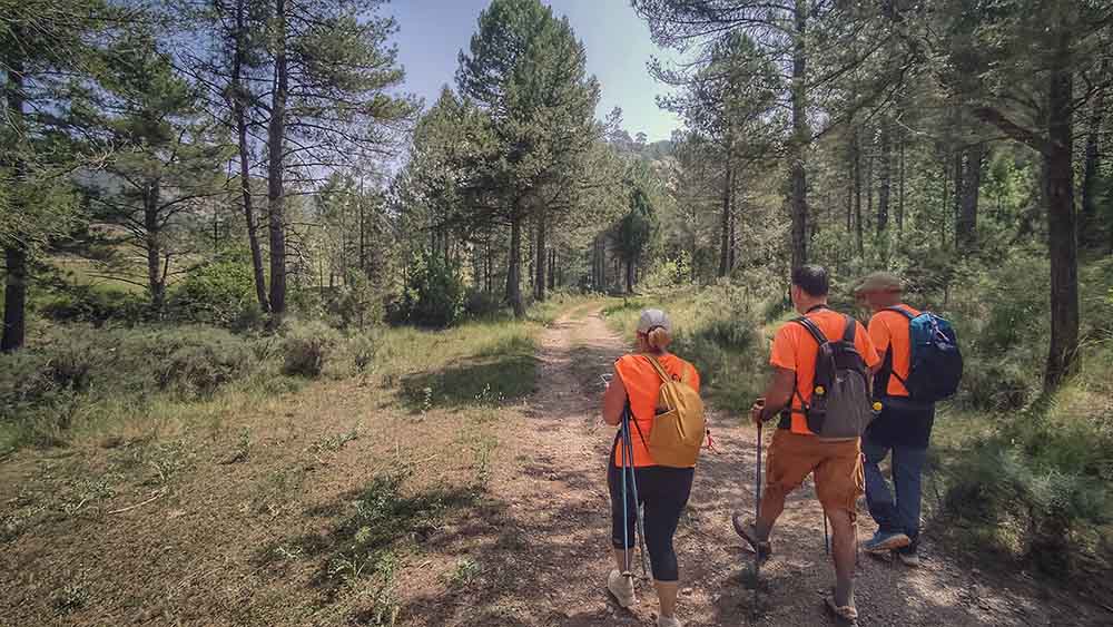 Las fuentes de Manzanera