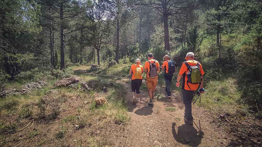 Las fuentes de Manzanera