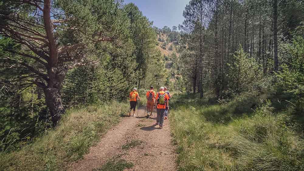Las fuentes de Manzanera