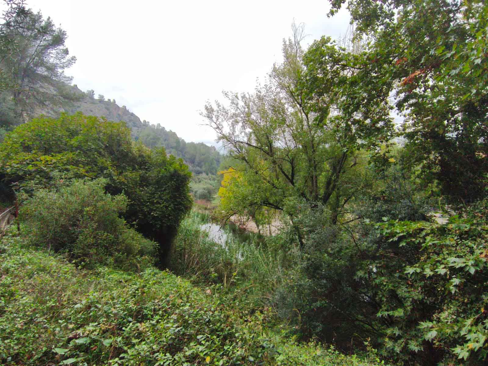 Bellús. Cova negra y arcadetes