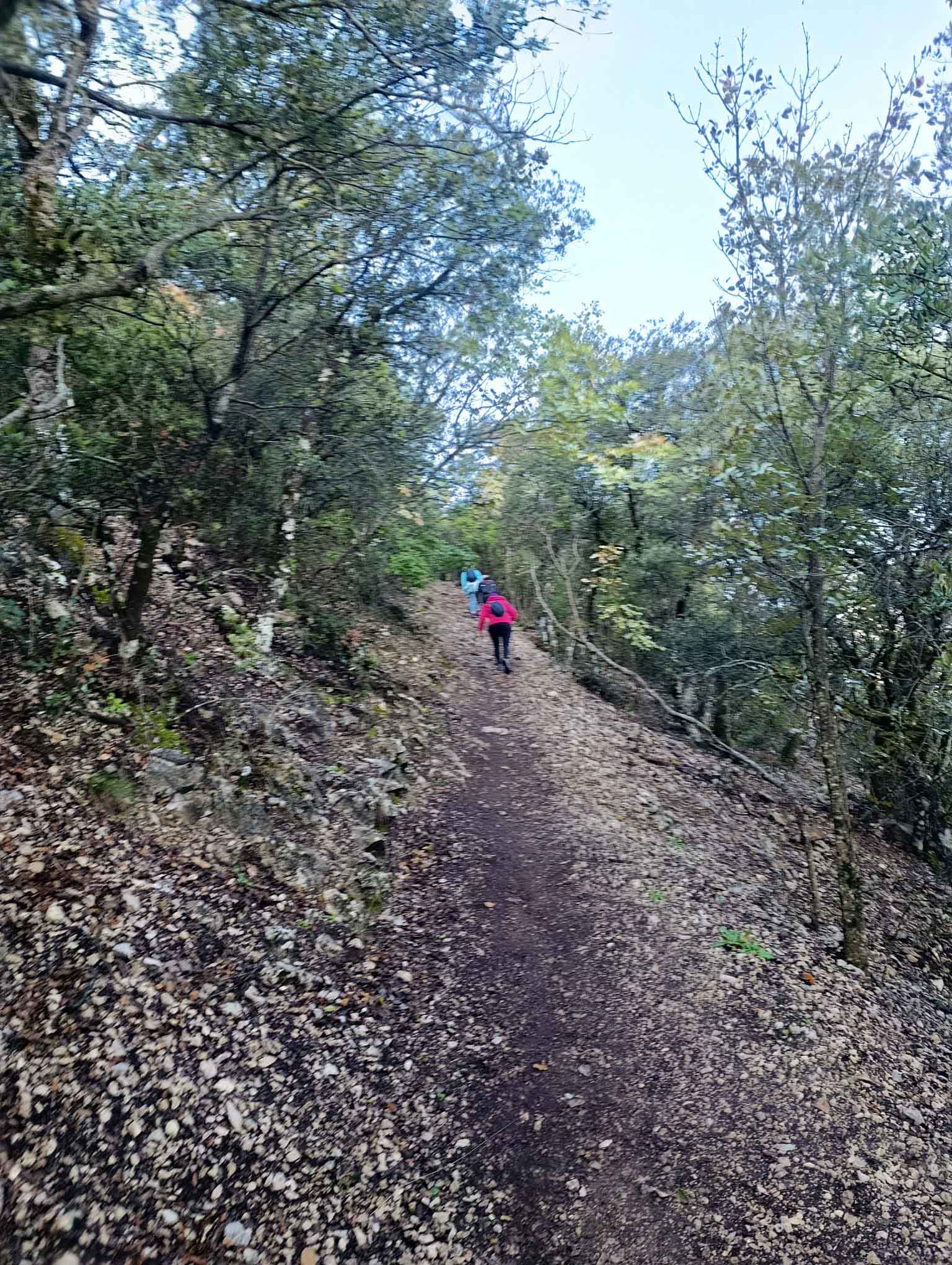 Parque Natural de la Font Roja