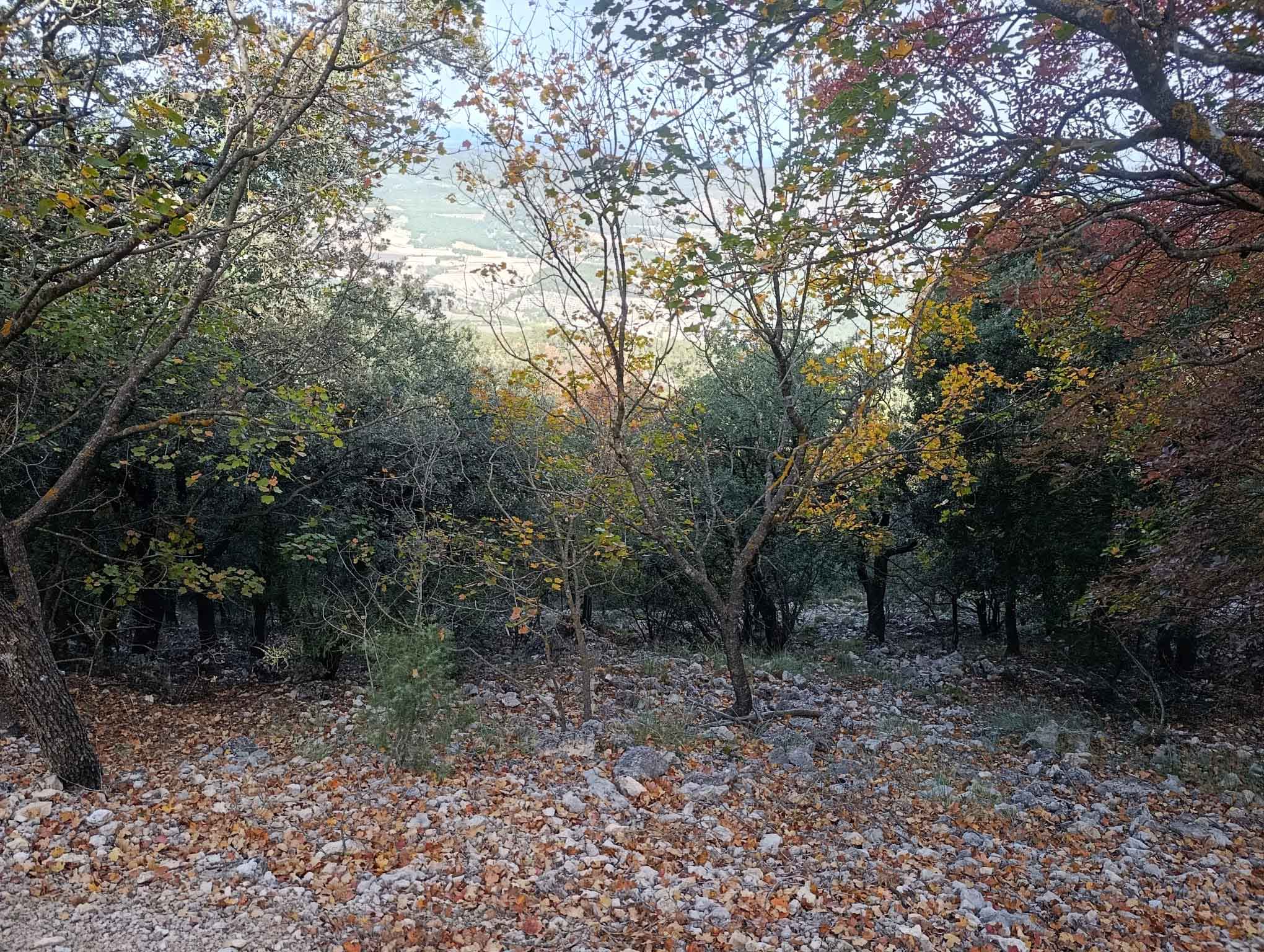 Parque Natural de la Font Roja