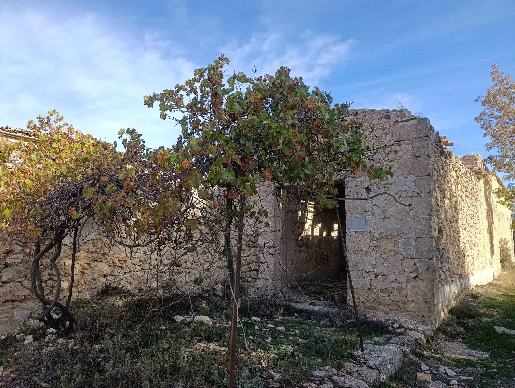 Parque Natural de la Font Roja