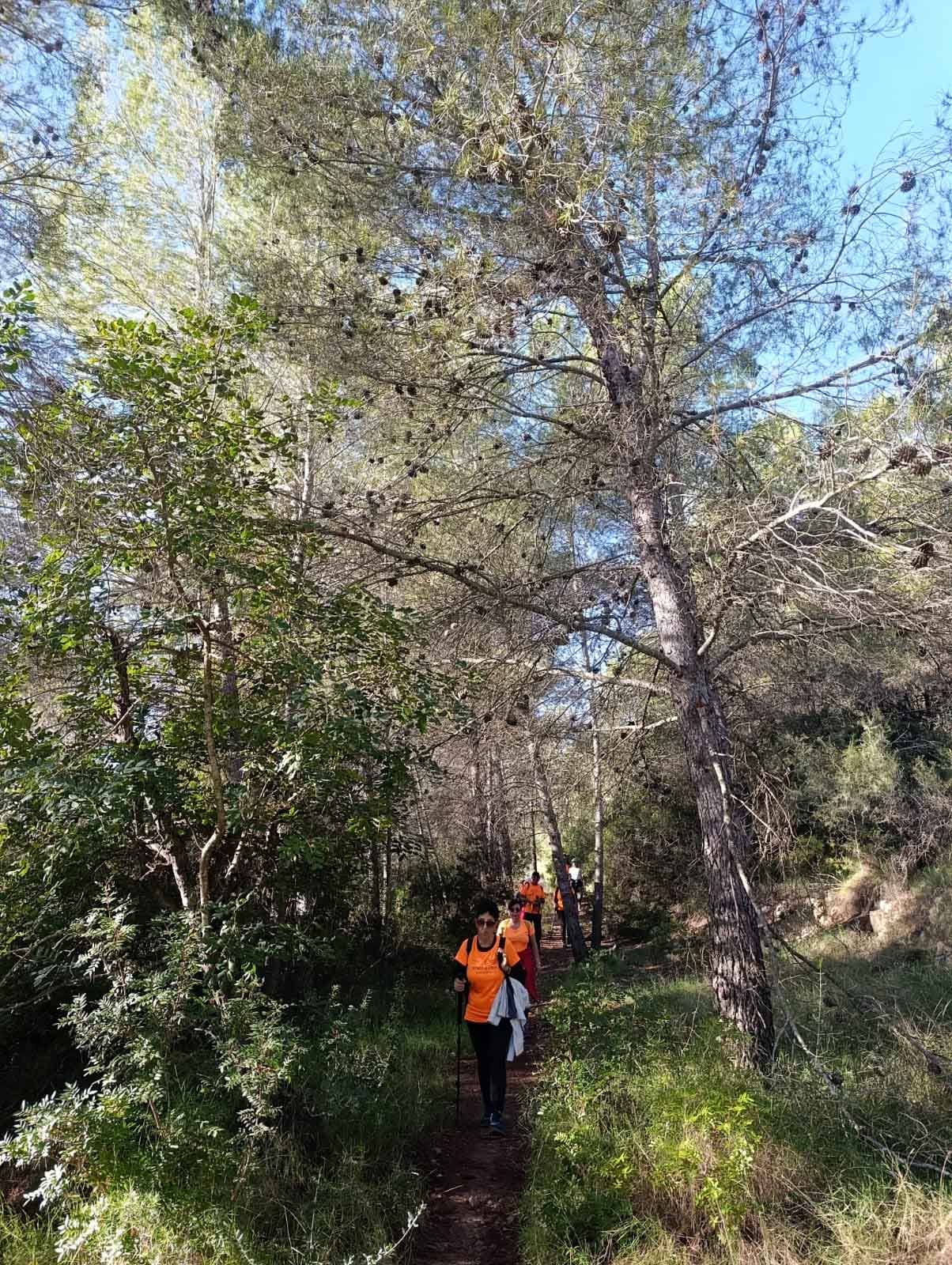 Sellent. Font del Pinar i Font de Ivars