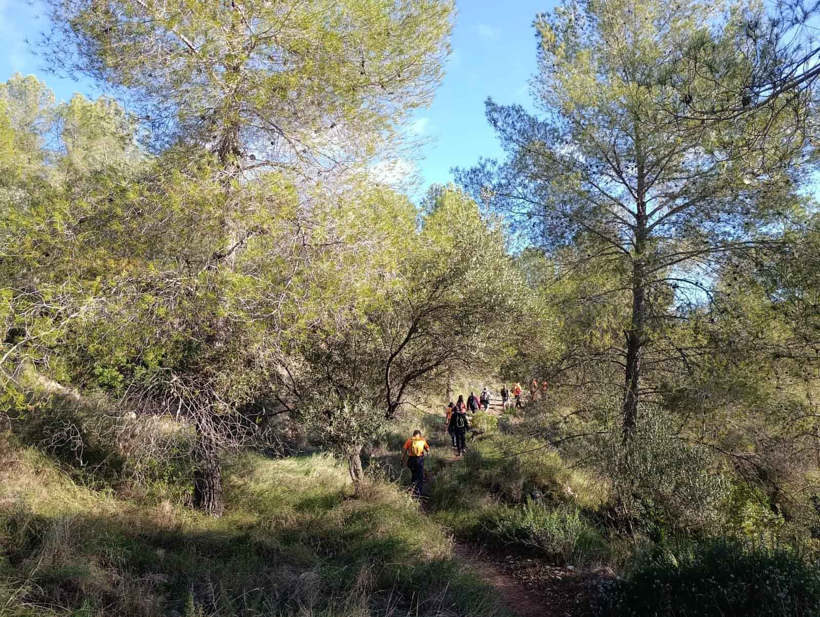 Sellent. Font del Pinar i Font de Ivars