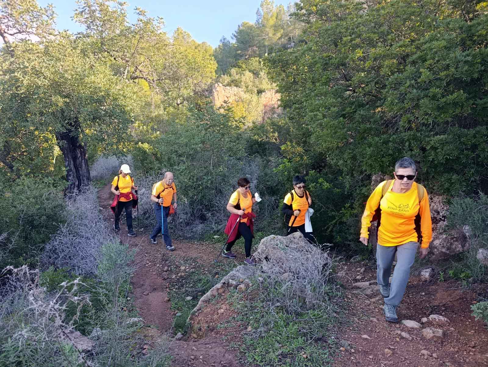 Sellent. Font del Pinar i Font de Ivars