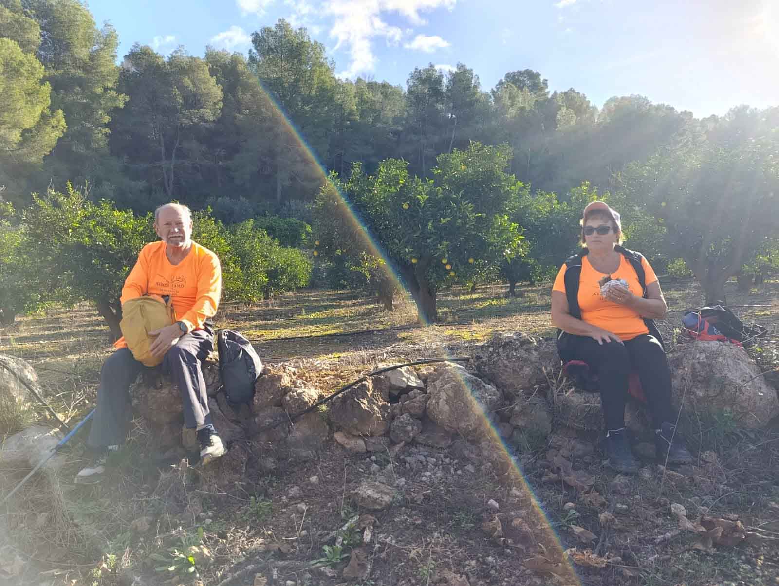 Sellent. Font del Pinar i Font de Ivars