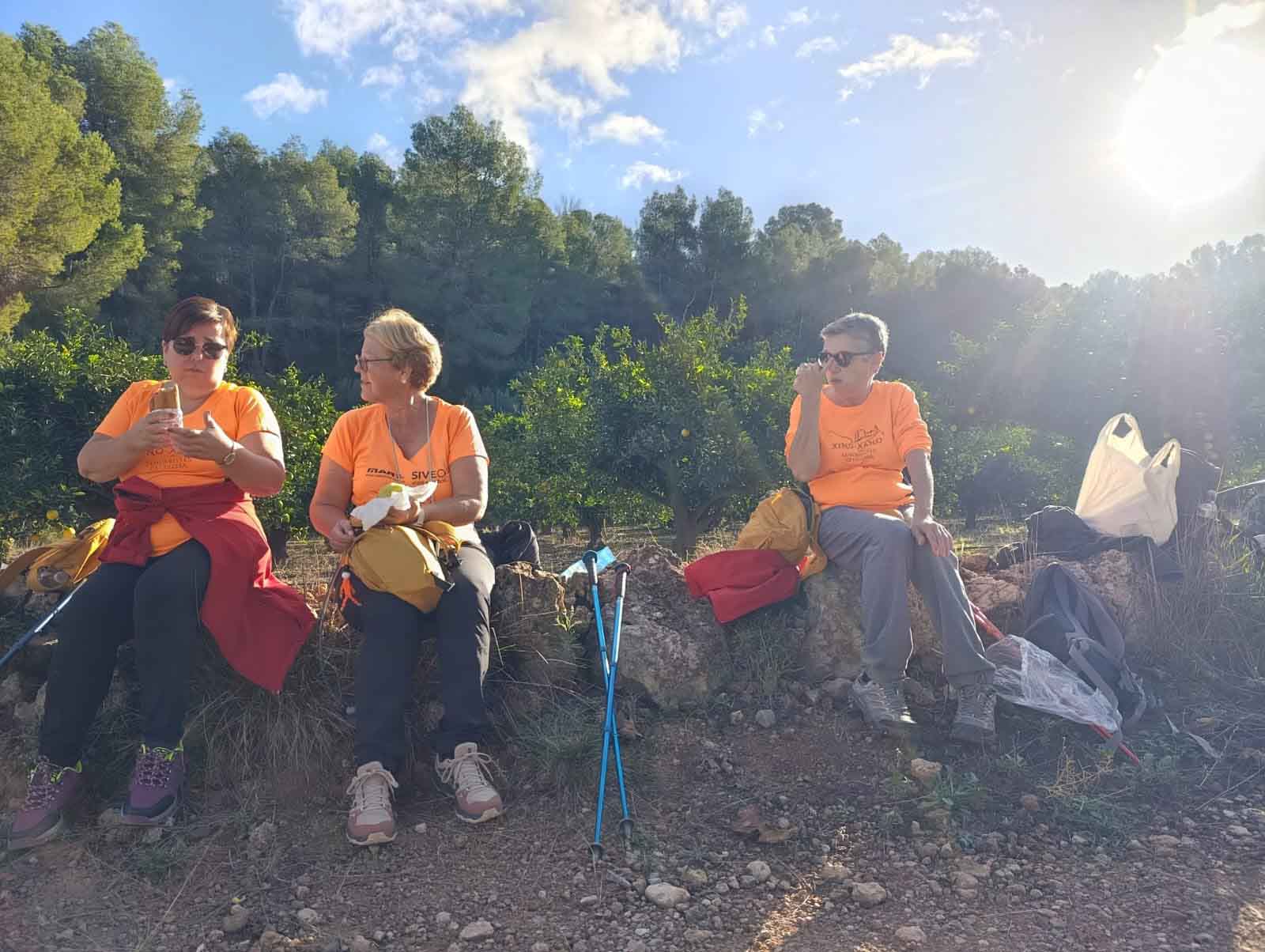 Sellent. Font del Pinar i Font de Ivars