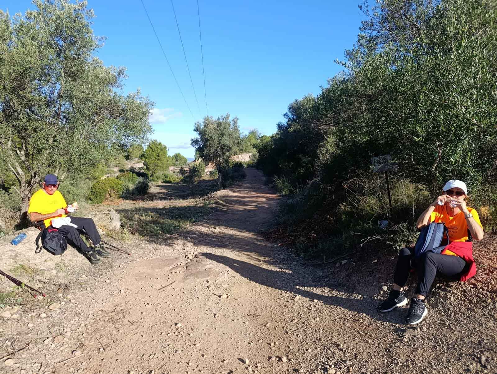 Sellent. Font del Pinar i Font de Ivars