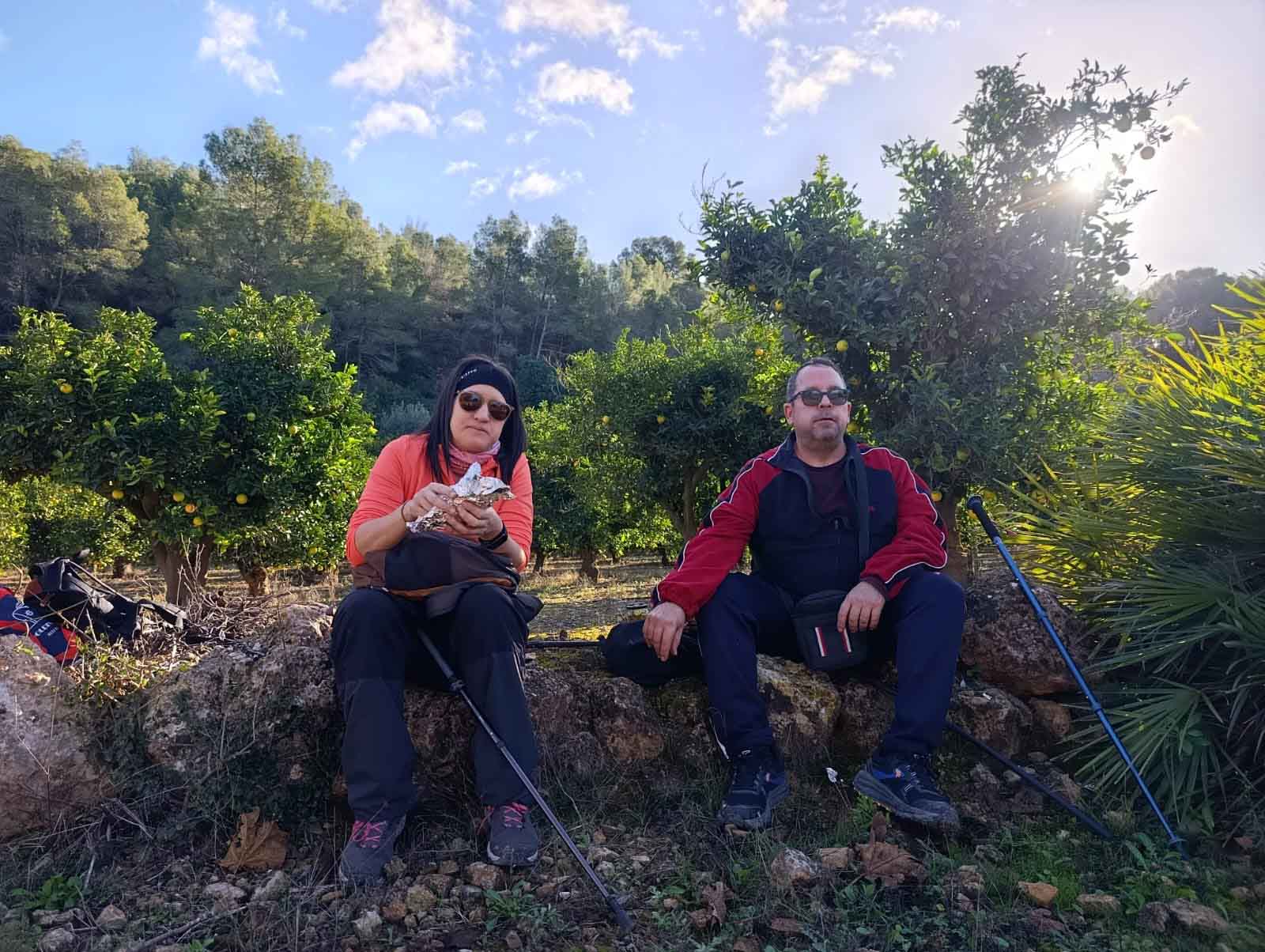 Sellent. Font del Pinar i Font de Ivars