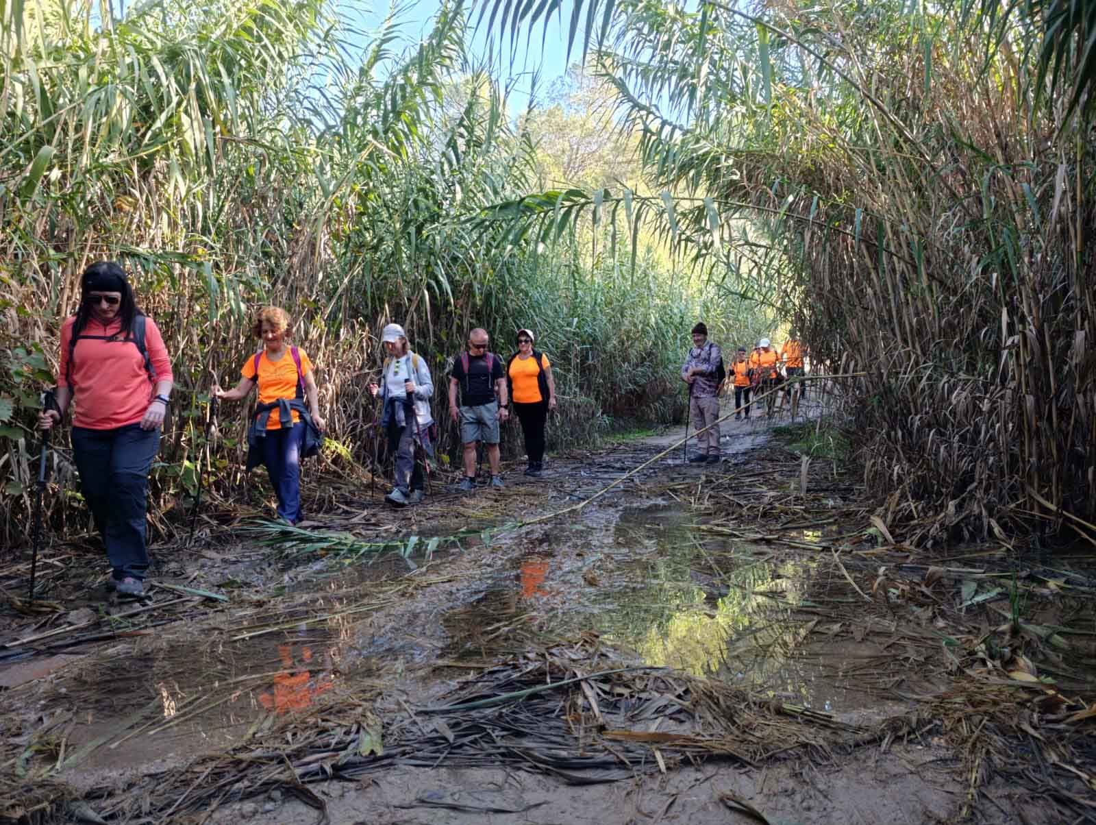 Sellent. Font del Pinar i Font de Ivars