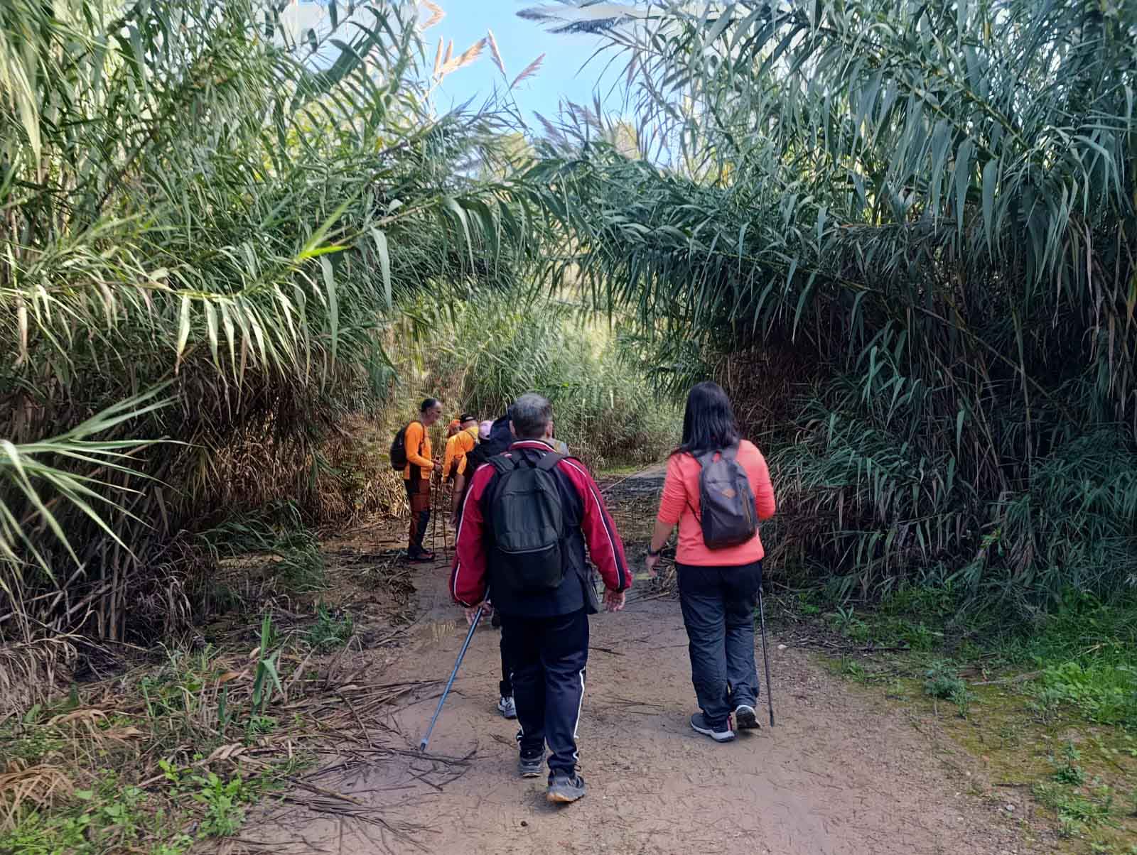 Sellent. Font del Pinar i Font de Ivars