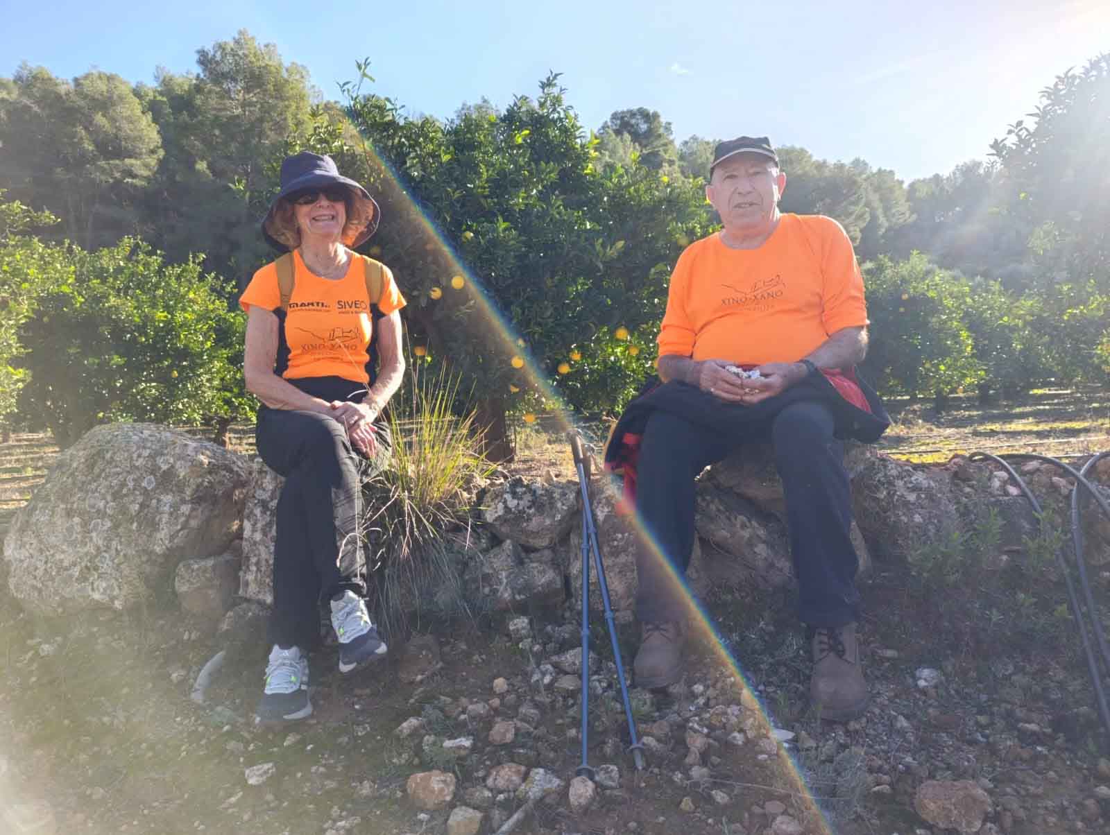 Sellent. Font del Pinar i Font de Ivars