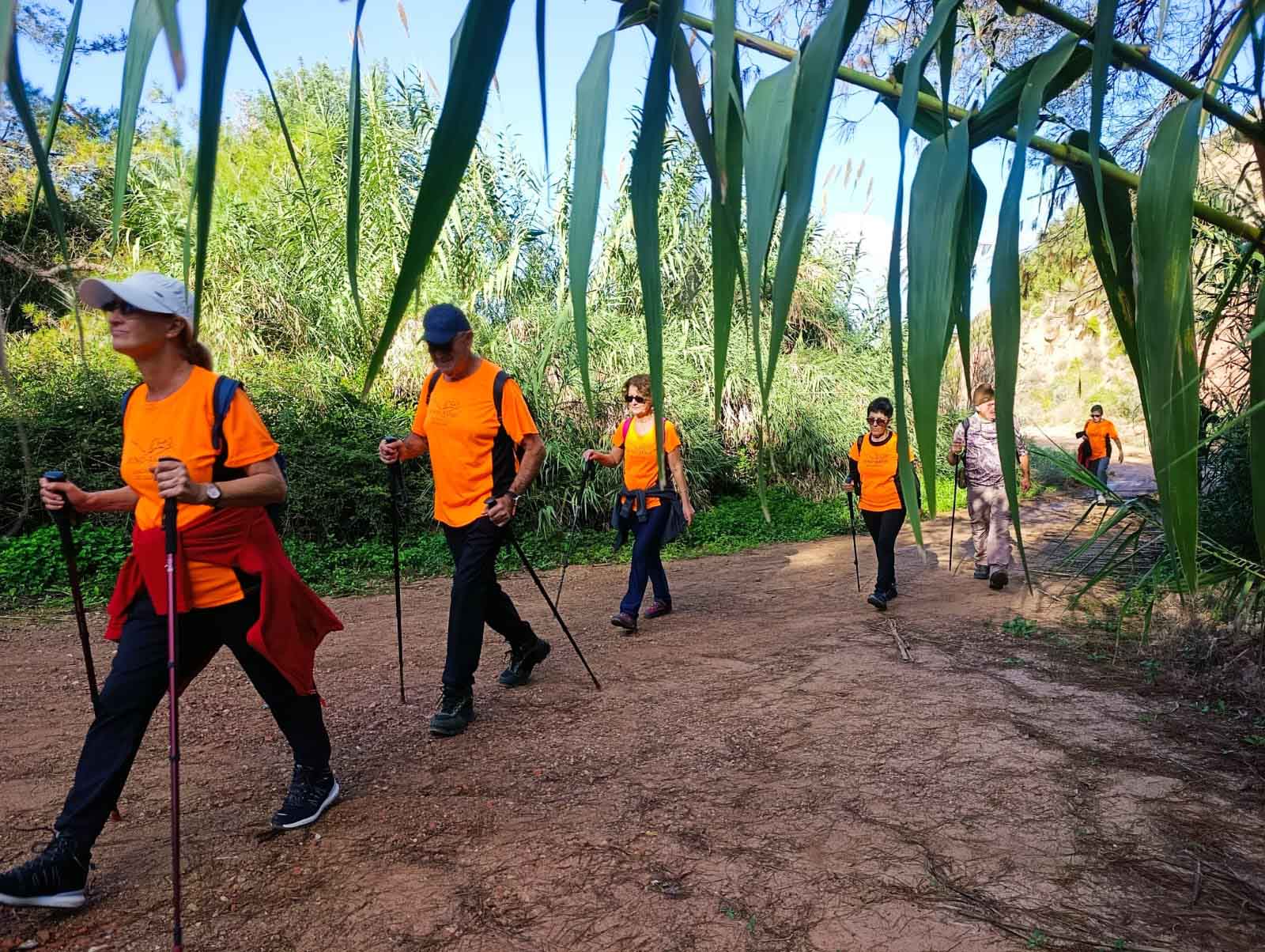 Sellent. Font del Pinar i Font de Ivars