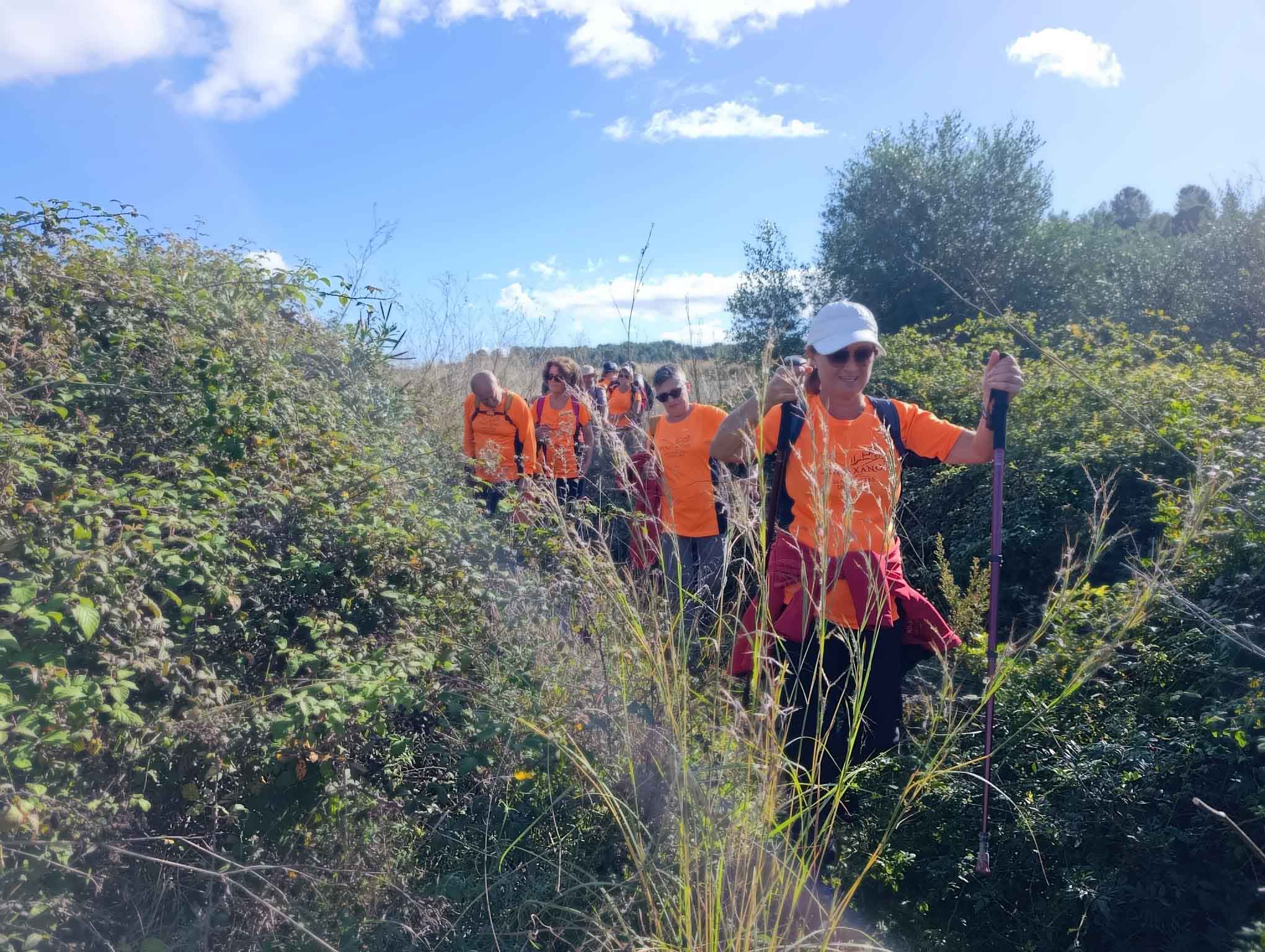 Sellent. Font del Pinar i Font de Ivars