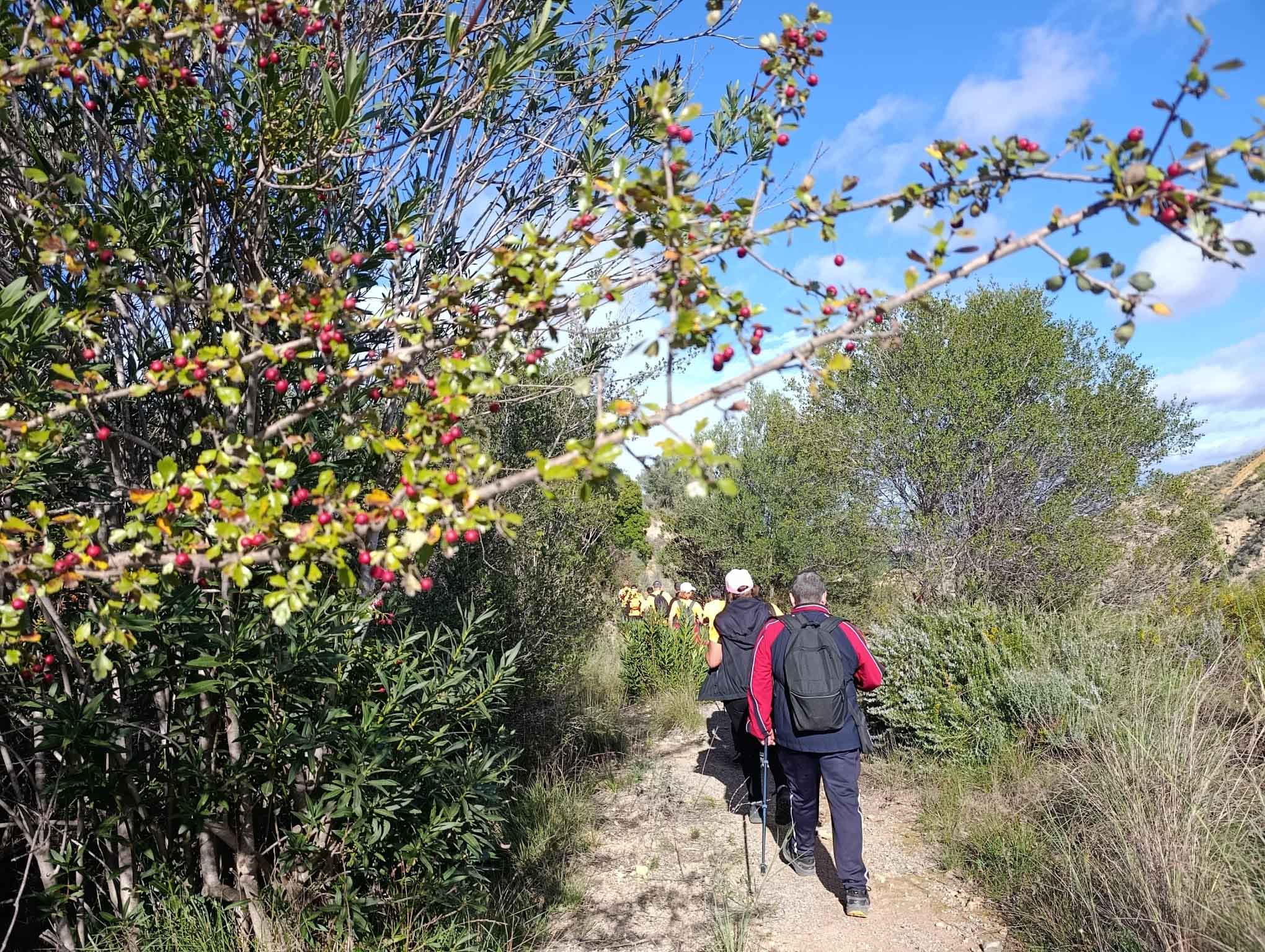 Sellent. Font del Pinar i Font de Ivars