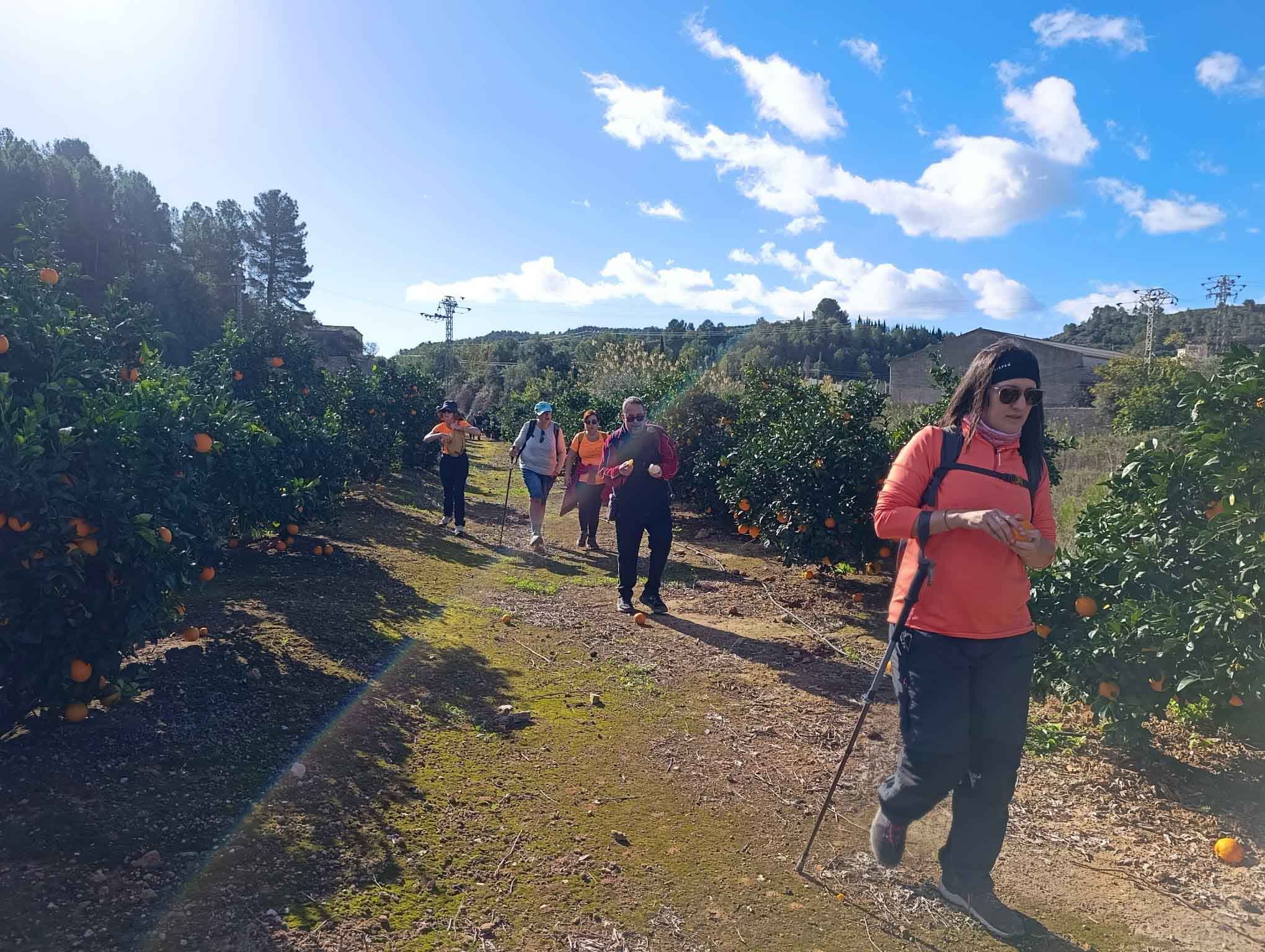 Sellent. Font del Pinar i Font de Ivars