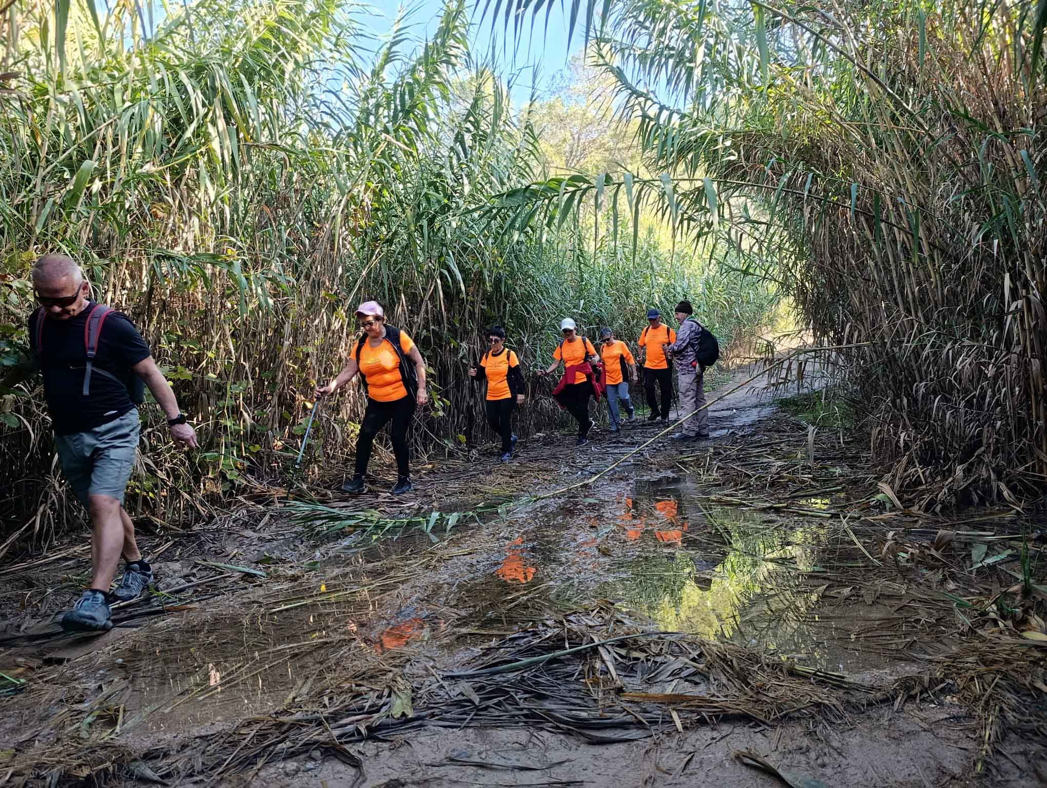 Sellent. Font del Pinar i Font de Ivars