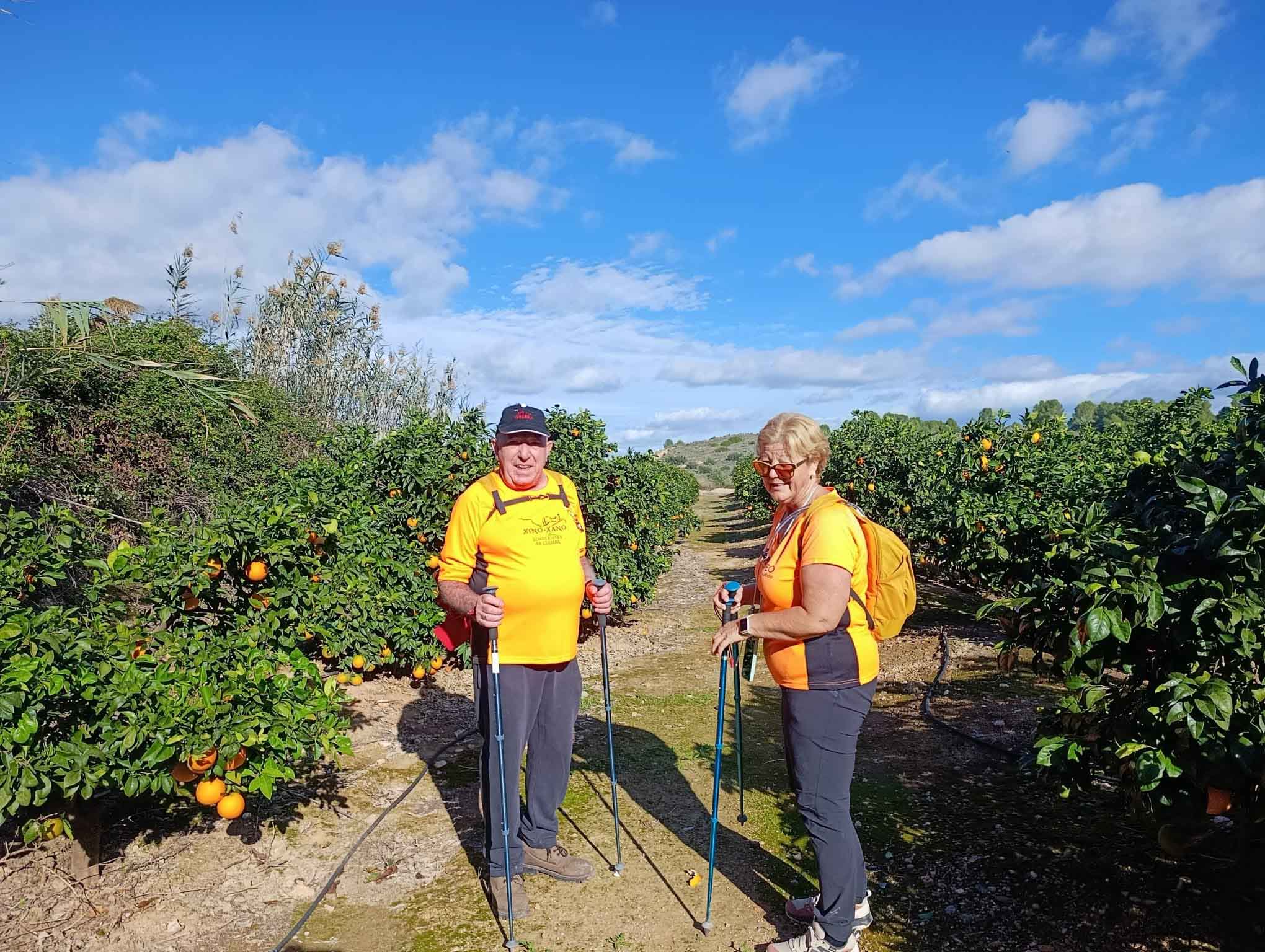 Sellent. Font del Pinar i Font de Ivars