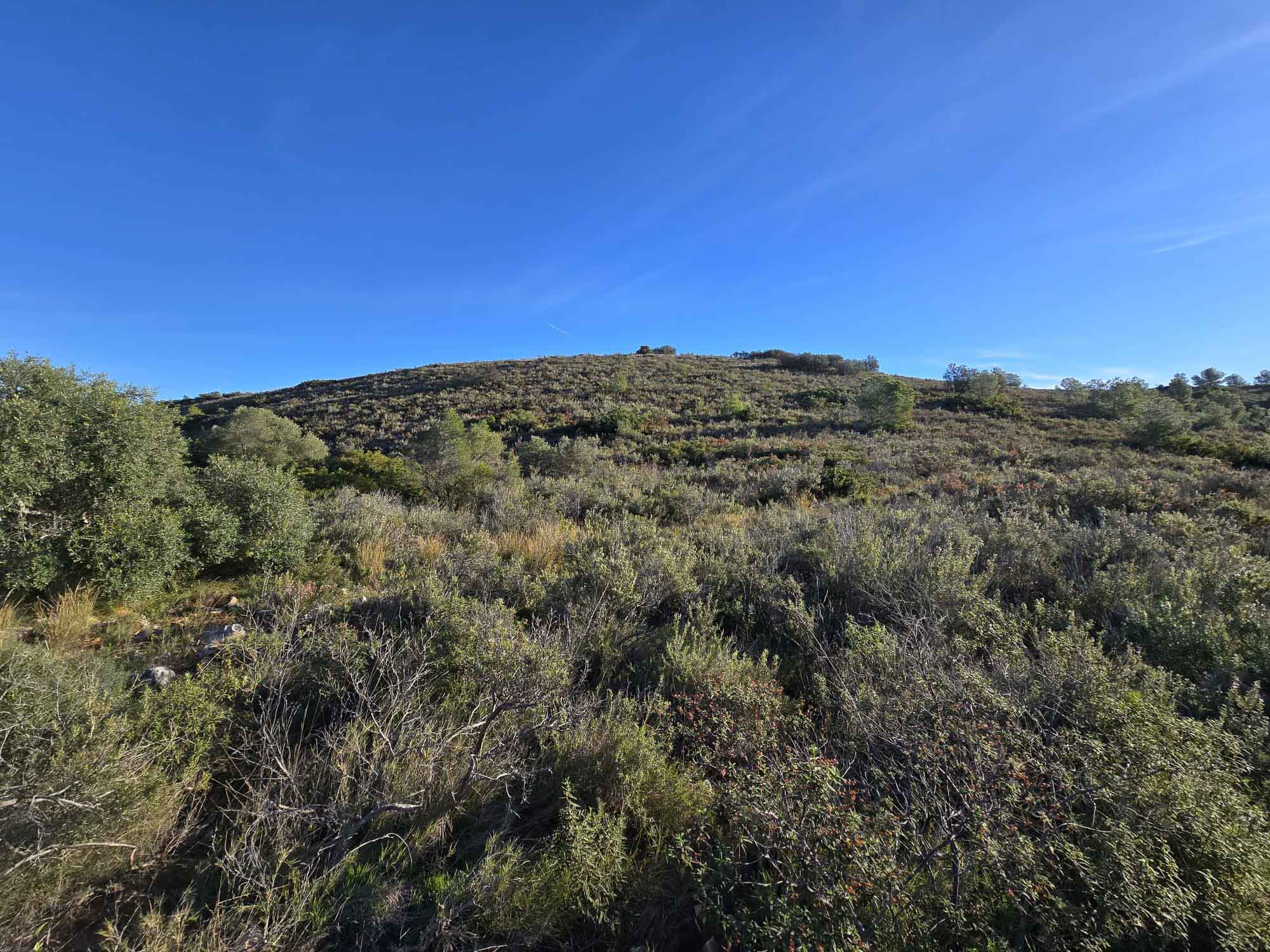 Tavernes. Camí de l'ombría, senda d'Ester, Pla de les Foies