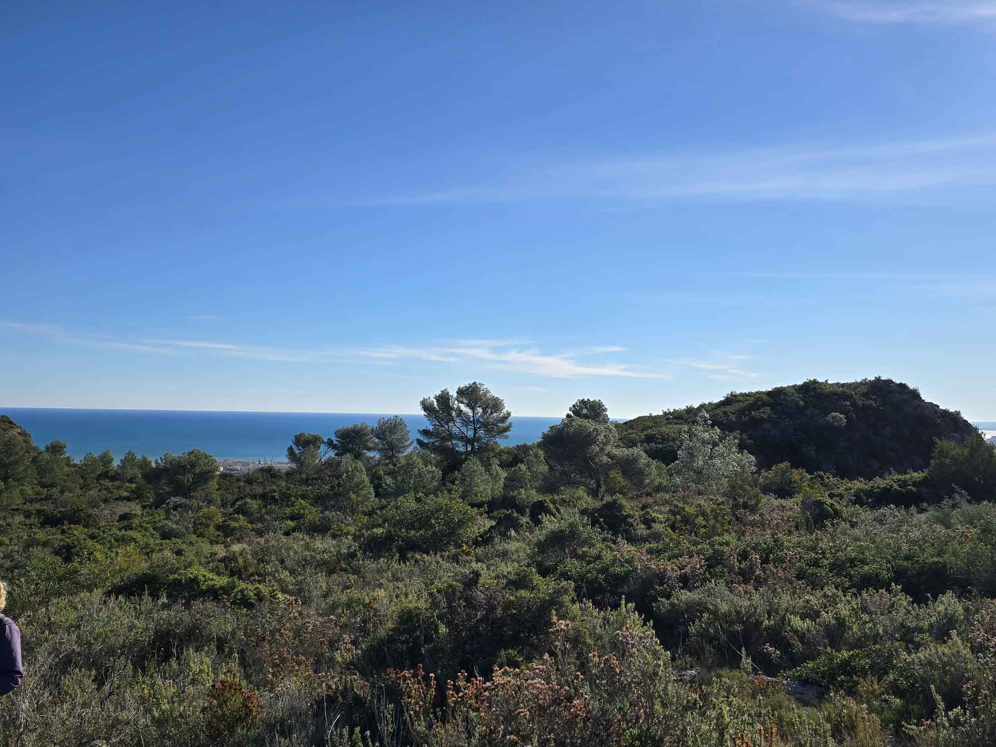 Tavernes. Camí de l'ombría, senda d'Ester, Pla de les Foies