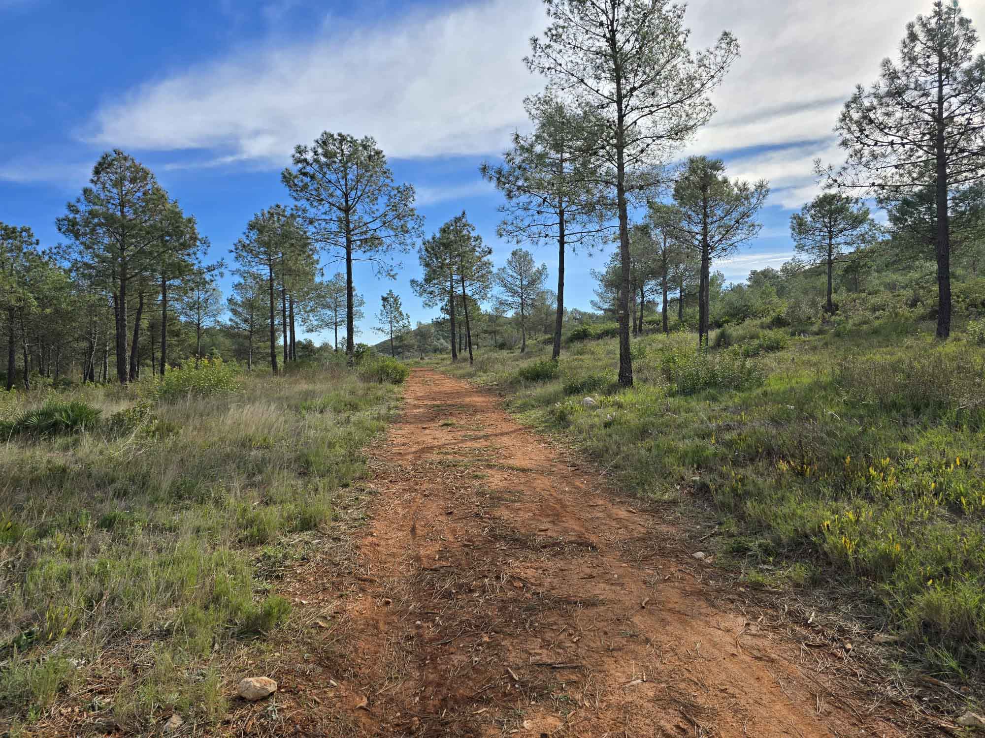 Tavernes. Camí de l'ombría, senda d'Ester, Pla de les Foies