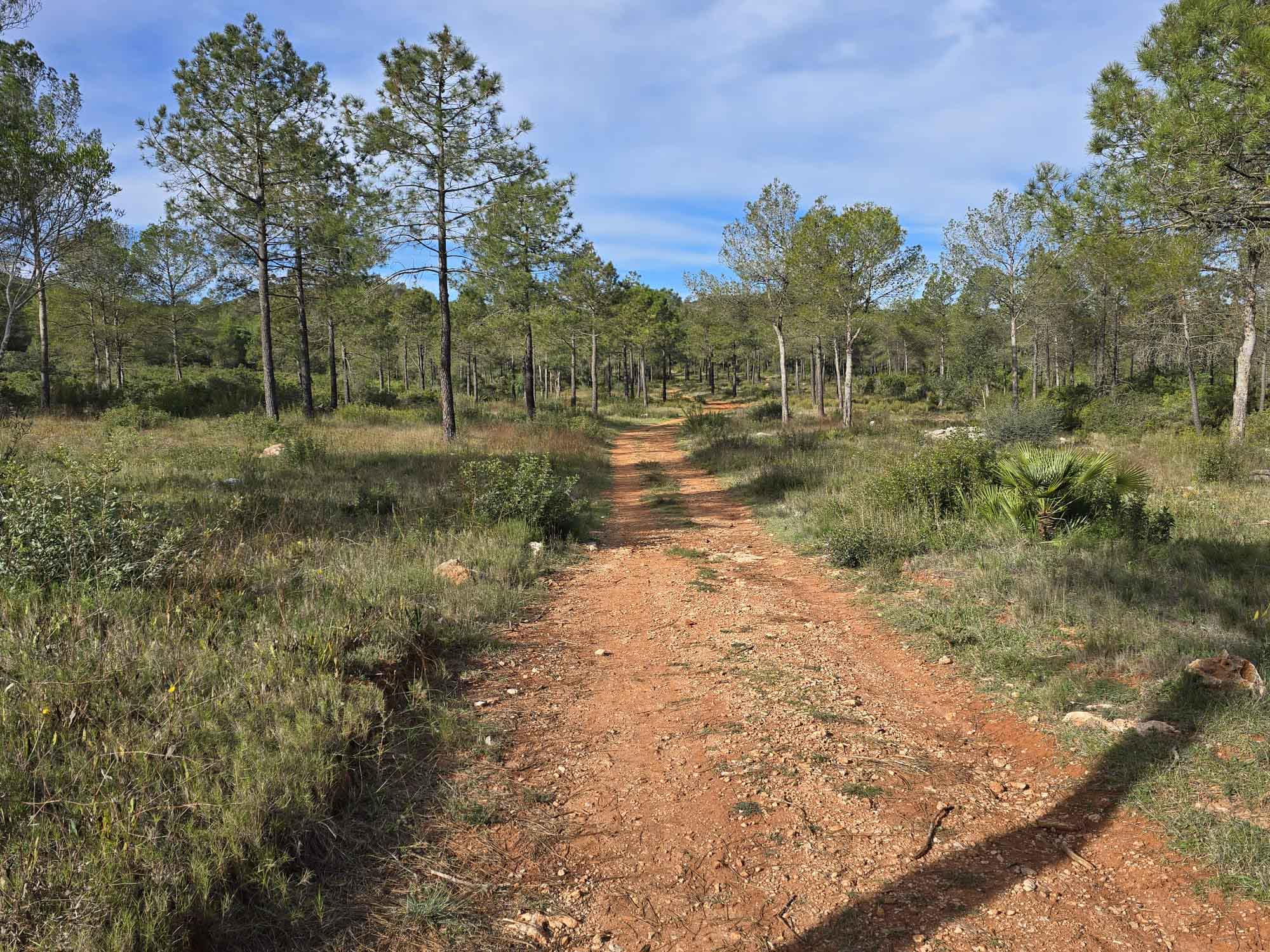 Tavernes. Camí de l'ombría, senda d'Ester, Pla de les Foies