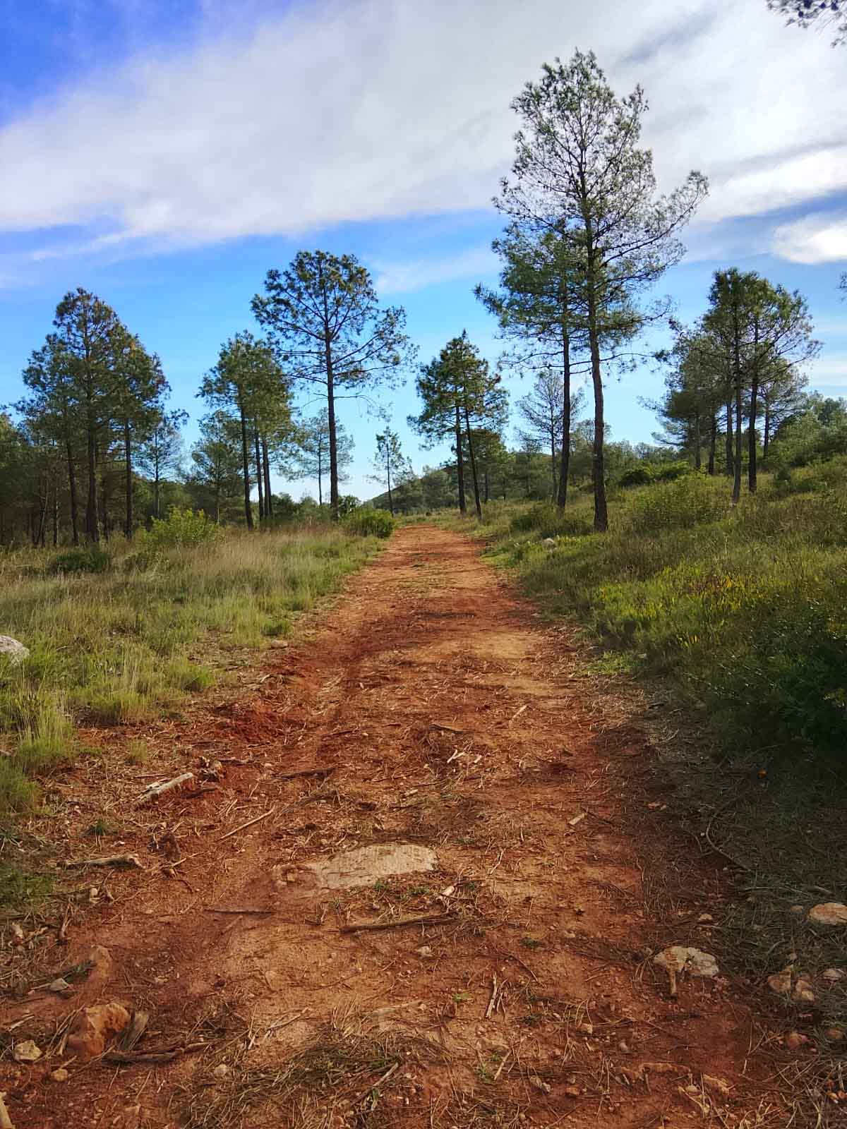 Tavernes. Camí de l'ombría, senda d'Ester, Pla de les Foies