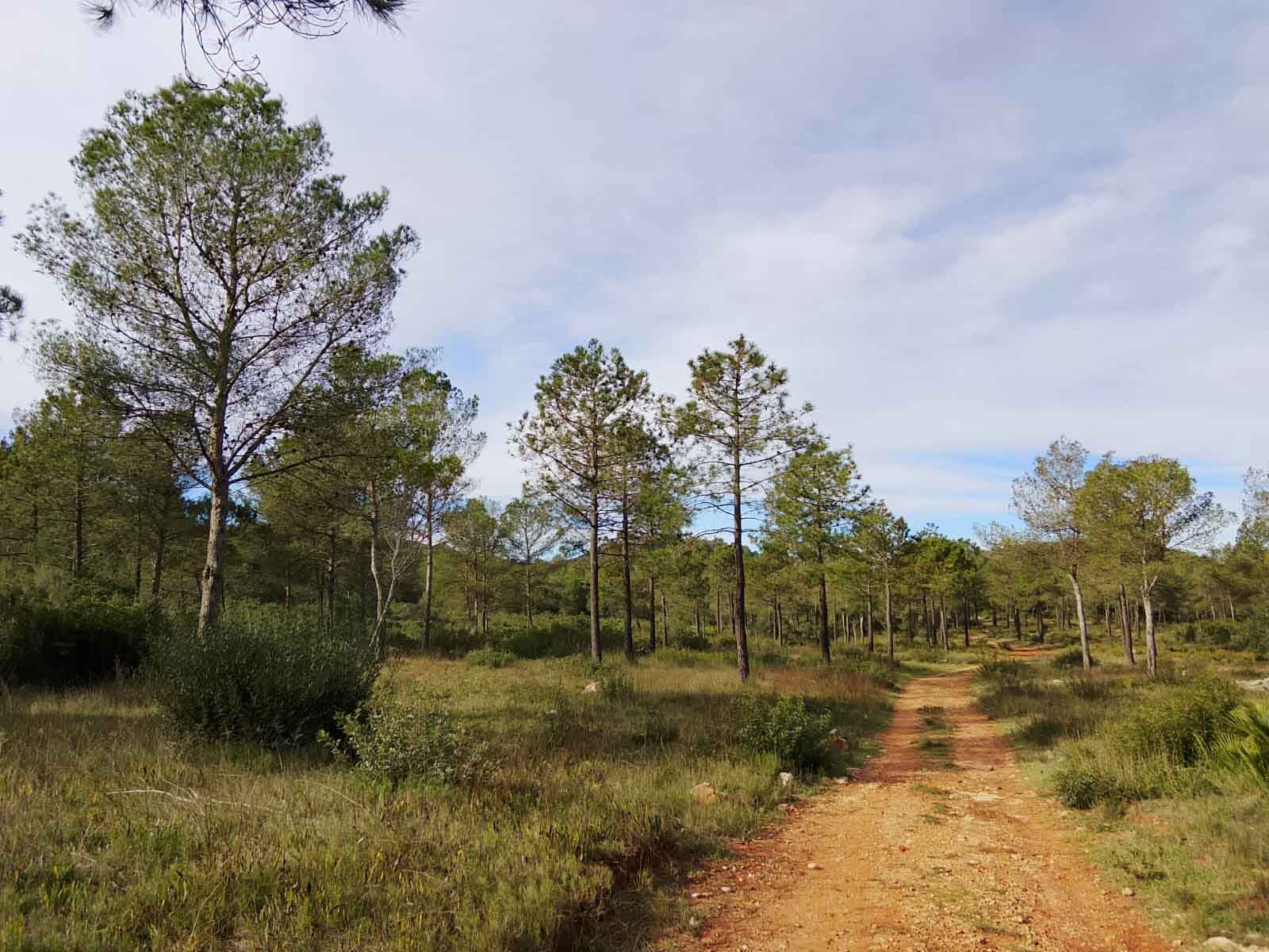 Tavernes. Camí de l'ombría, senda d'Ester, Pla de les Foies