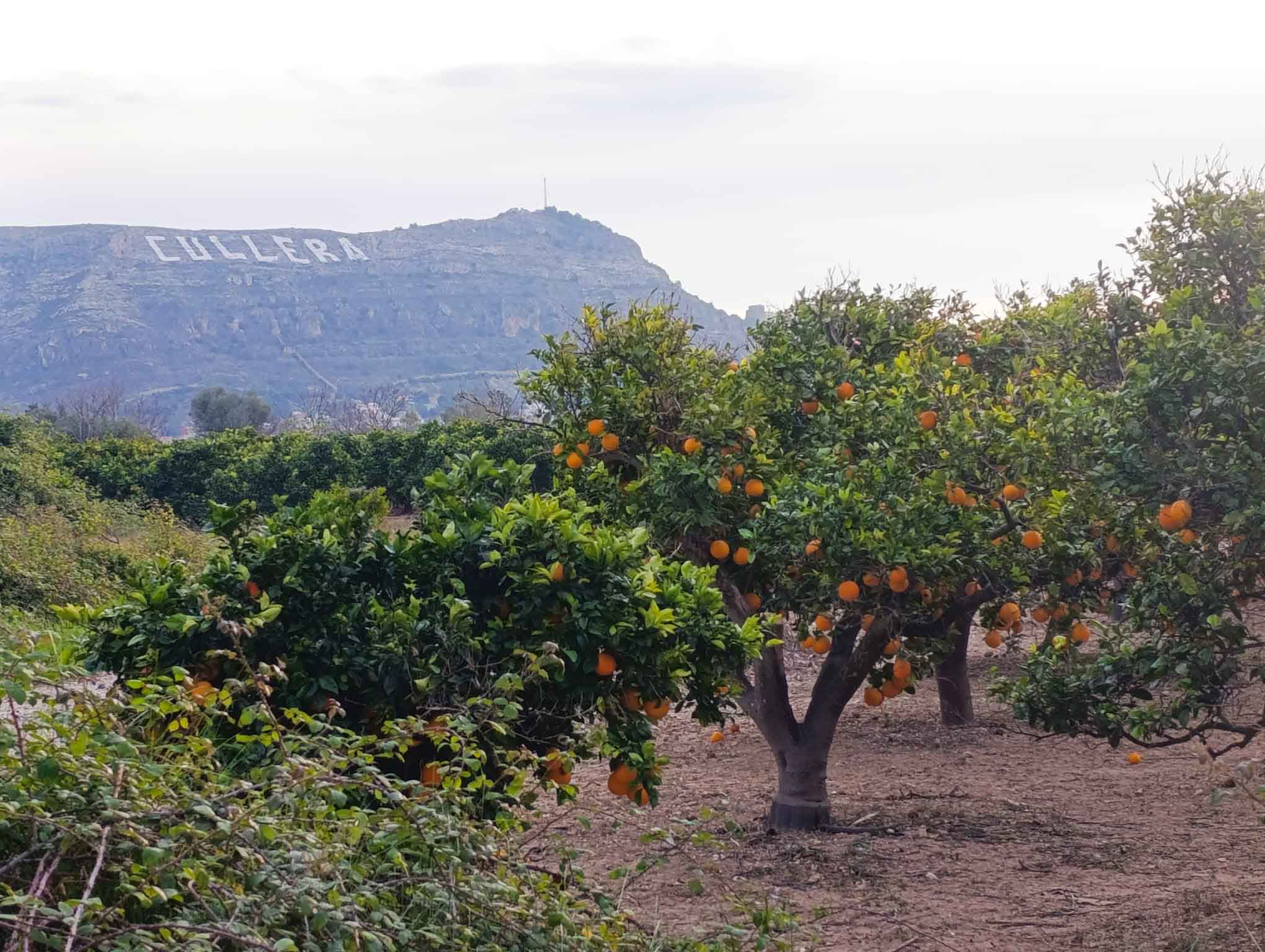 Fortaleny. Assut de Cullera