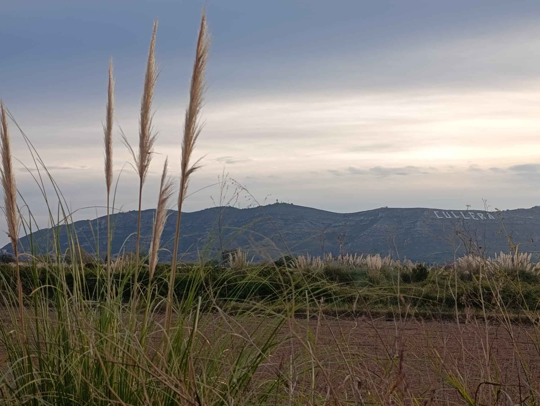 Fortaleny. Assut de Cullera