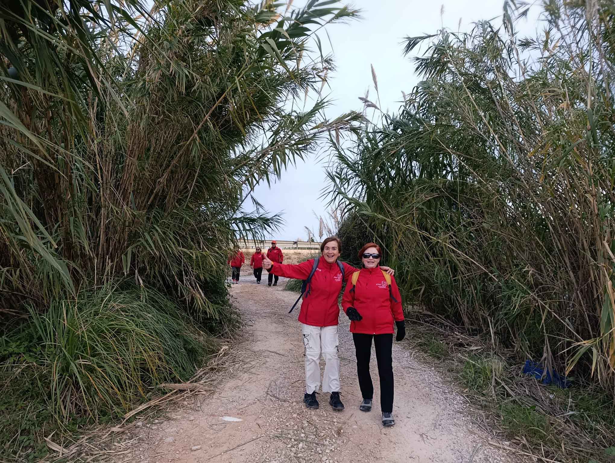 Fortaleny. Assut de Cullera