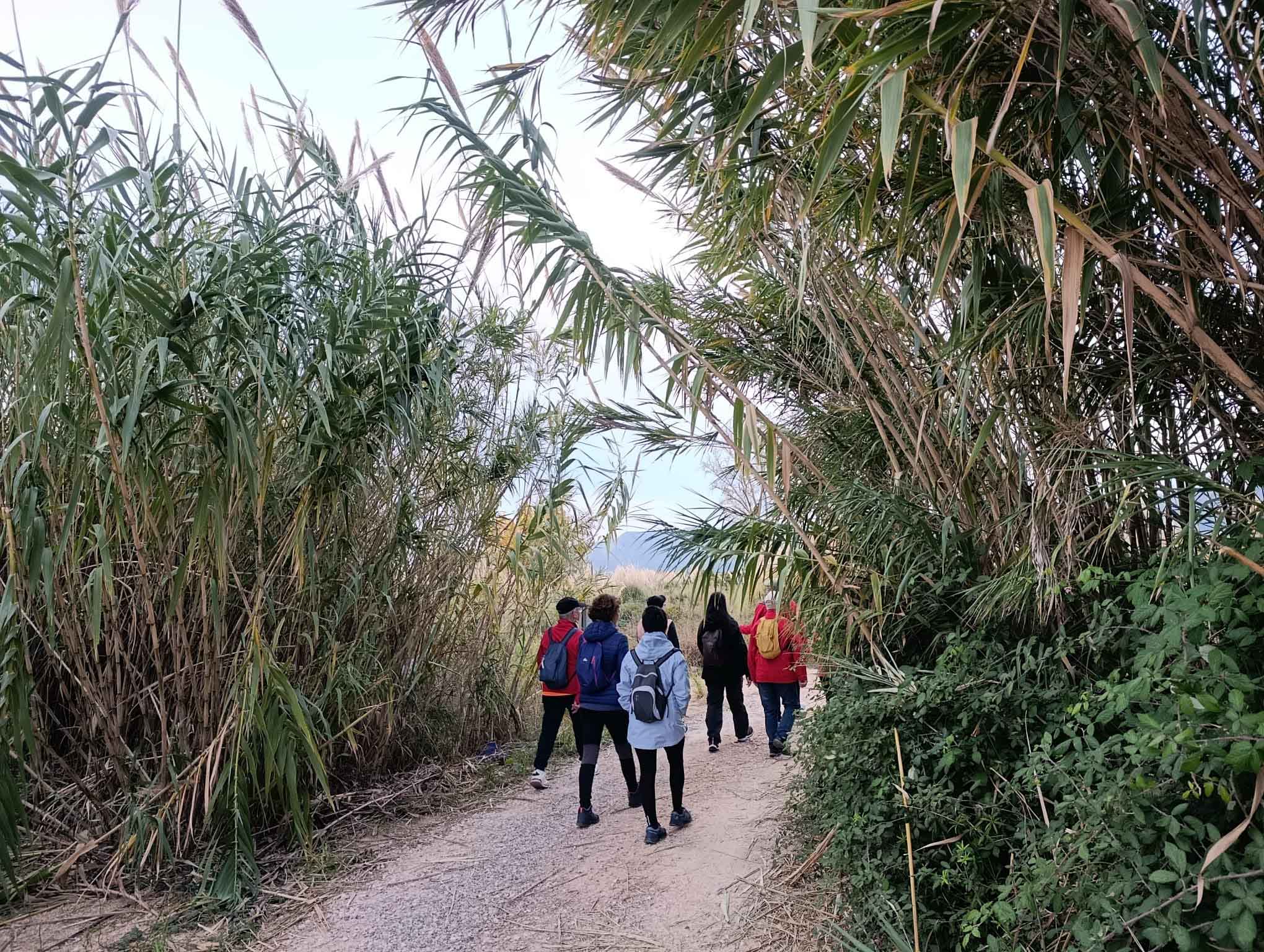 Fortaleny. Assut de Cullera