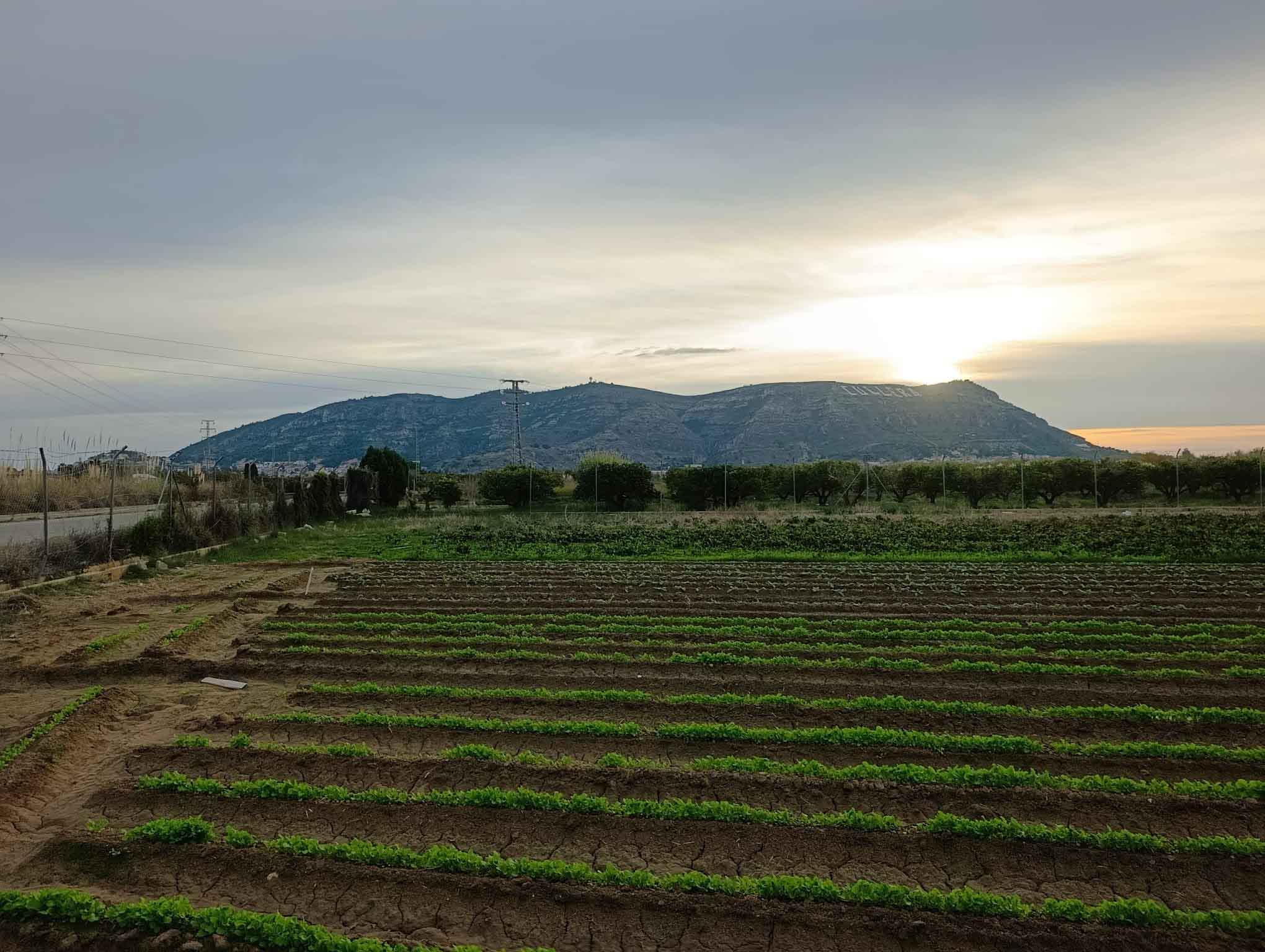 Fortaleny. Assut de Cullera