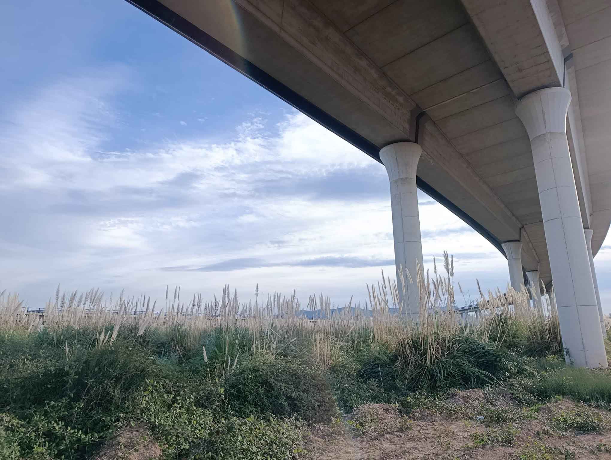 Fortaleny. Assut de Cullera