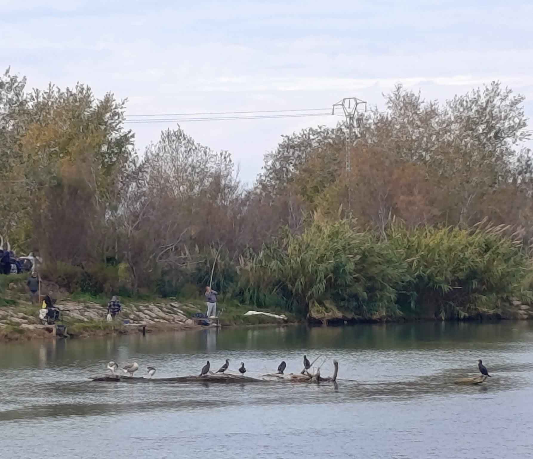 Fortaleny. Assut de Cullera