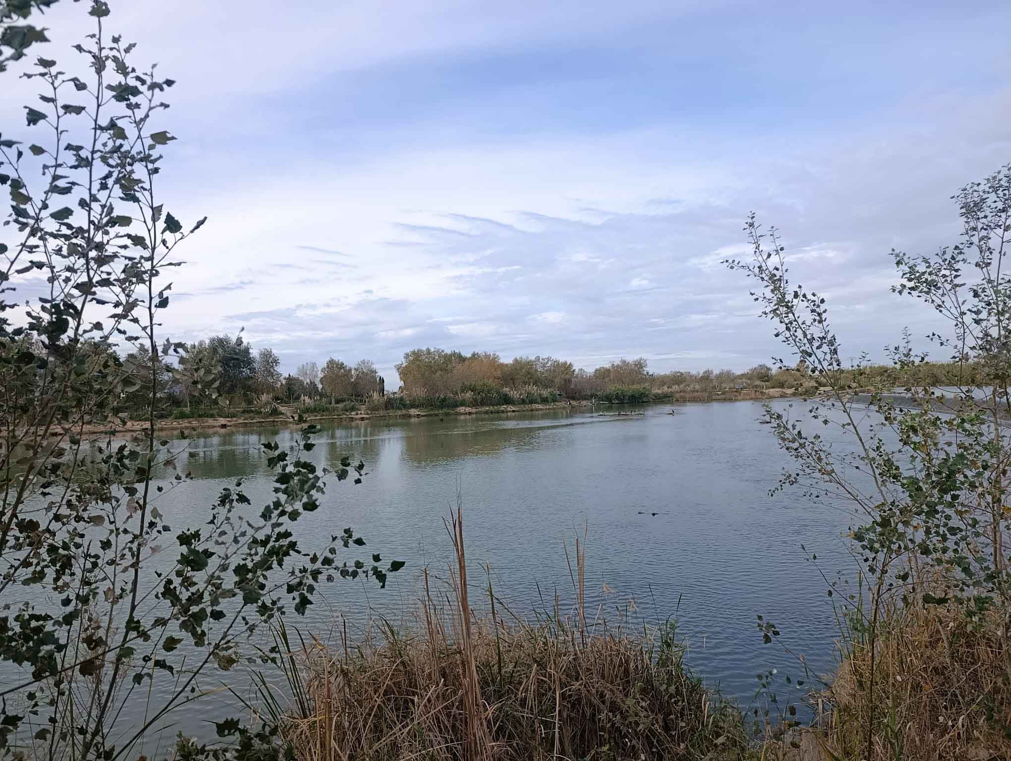 Fortaleny. Assut de Cullera